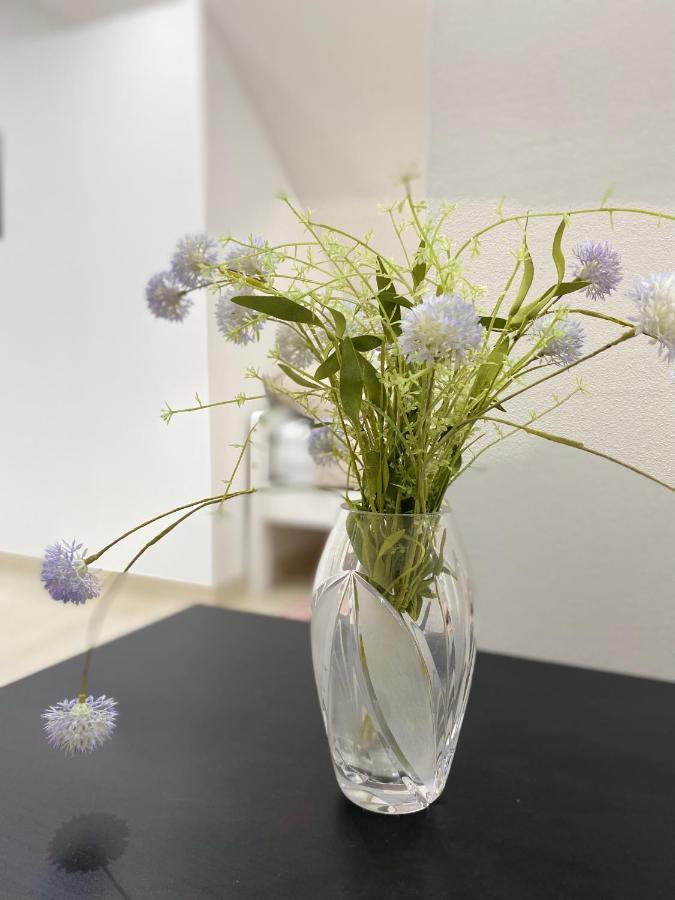 Apartma Azurre Postojna Eksteriør bilde